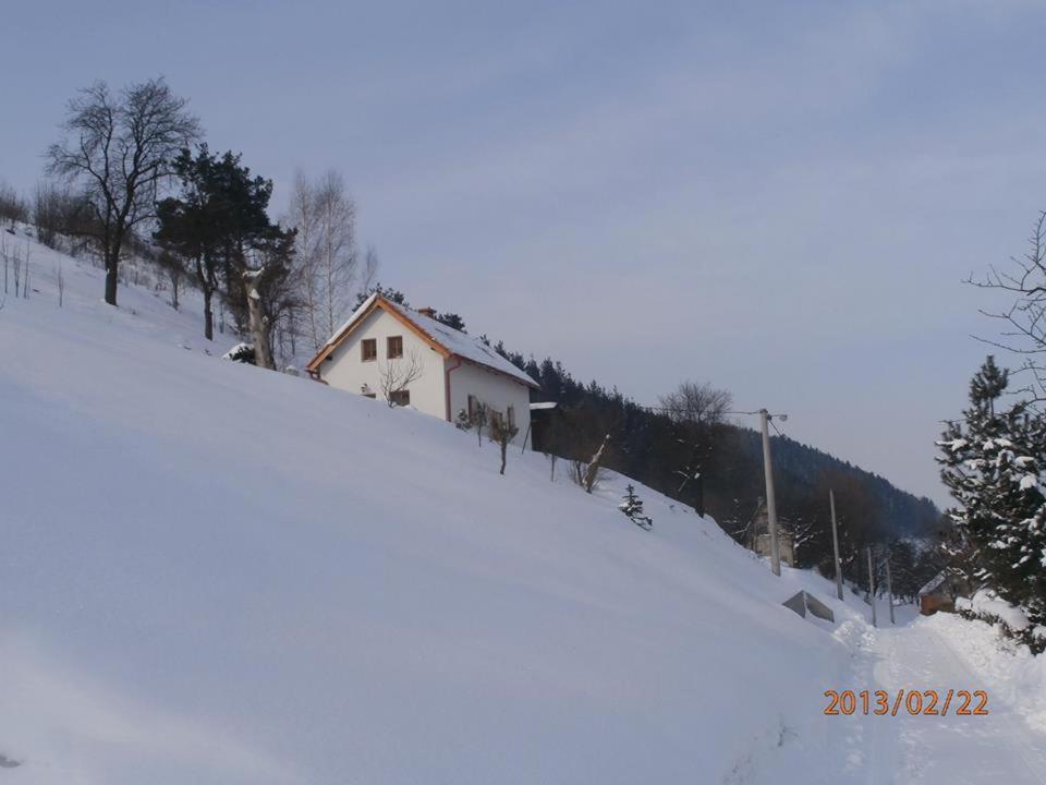 Villa Charming House With Beautiful Landscape Frýdštejn Exterior foto